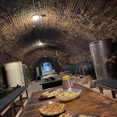 דירה Zapomenuty Sklipek Olbramovice (Znojmo)